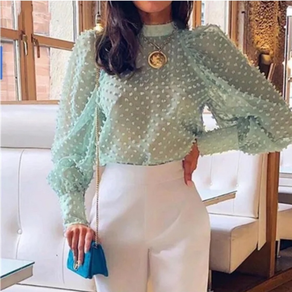 Zara puff sleeve top